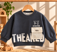 Grey Sweatshirt